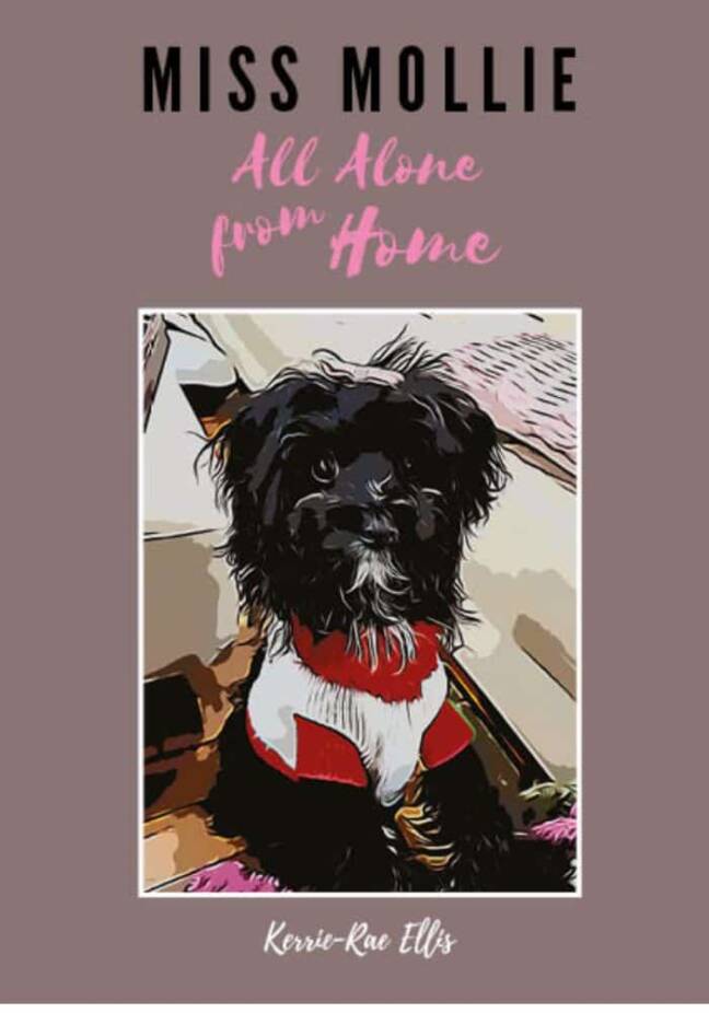 Miss Mollie children's picture book cover